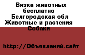 Вязка животных бесплатно - Белгородская обл. Животные и растения » Собаки   